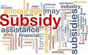 subsidy